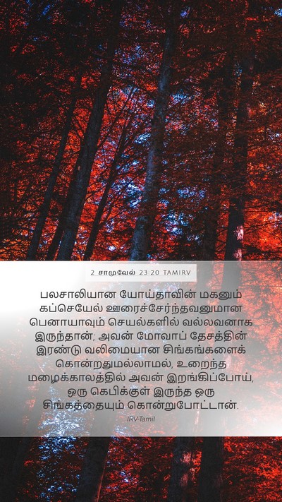 2 சாமுவேல் 23:20 TAMIRV Bible Verse Image
