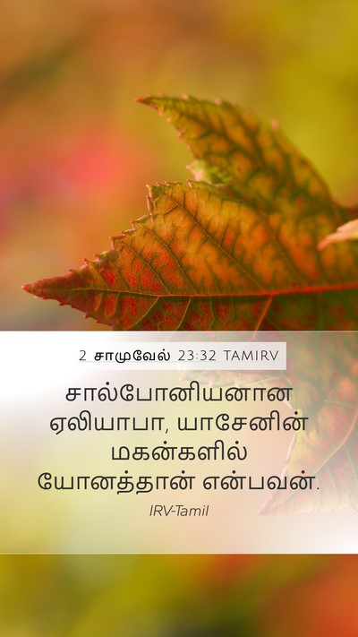 2 சாமுவேல் 23:32 TAMIRV Mobile Phone Wallpaper - சால்போனியனான - Mobile Bible Verse Wallpaper