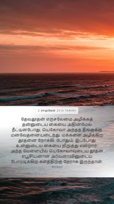 2 சாமுவேல் 24:16 TAMIRV Bible Verse Image