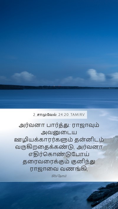 2 சாமுவேல் 24:20 TAMIRV Bible Verse Image
