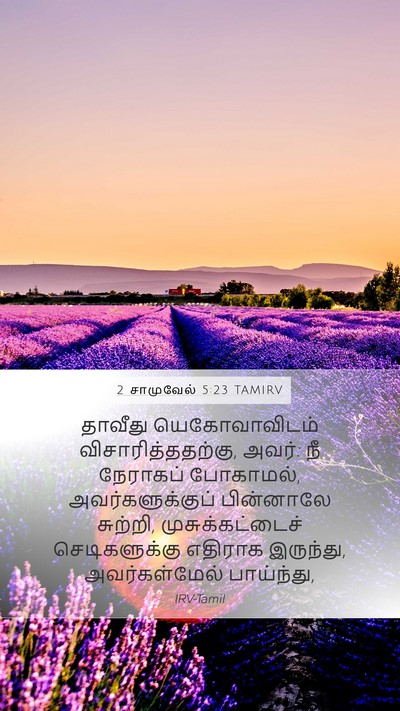 2 சாமுவேல் 5:23 TAMIRV Bible Verse Image