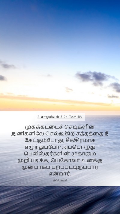2 சாமுவேல் 5:24 TAMIRV Bible Verse Image