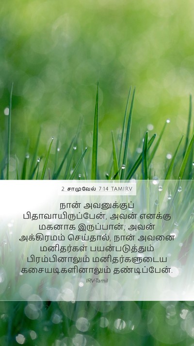 2 சாமுவேல் 7:14 TAMIRV Bible Verse Image