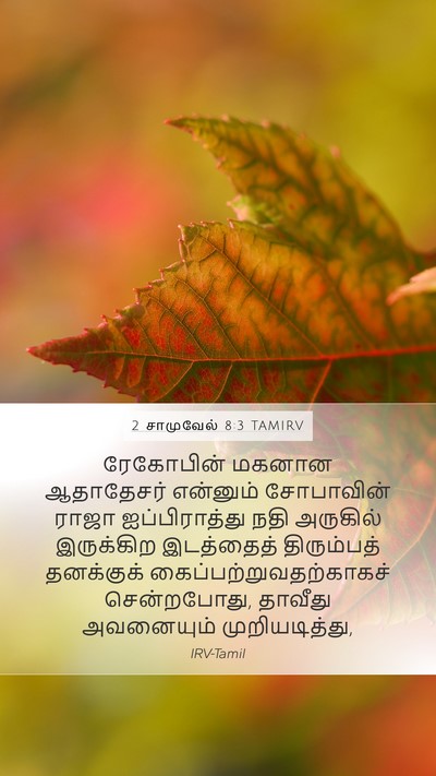 2 சாமுவேல் 8:3 TAMIRV Bible Verse Image