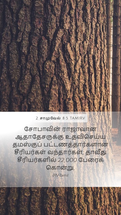2 சாமுவேல் 8:5 TAMIRV Mobile Phone Wallpaper - சோபாவின் ராஜாவான - Mobile Bible Verse Wallpaper