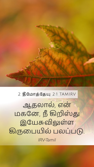 2 தீமோத்தேயு 2:1 TAMIRV Bible Verse Image