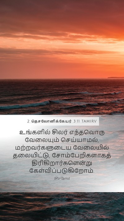 2 தெசலோனிக்கேயர் 3:11 TAMIRV Bible Verse Image