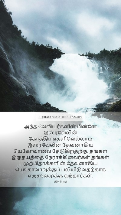 2 நாளாகமம் 11:16 TAMIRV Bible Verse Image