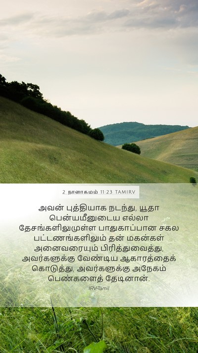 2 நாளாகமம் 11:23 TAMIRV Bible Verse Image