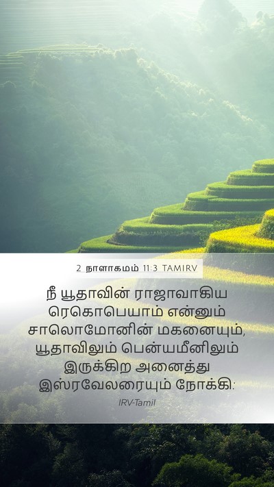 2 நாளாகமம் 11:3 TAMIRV Bible Verse Image