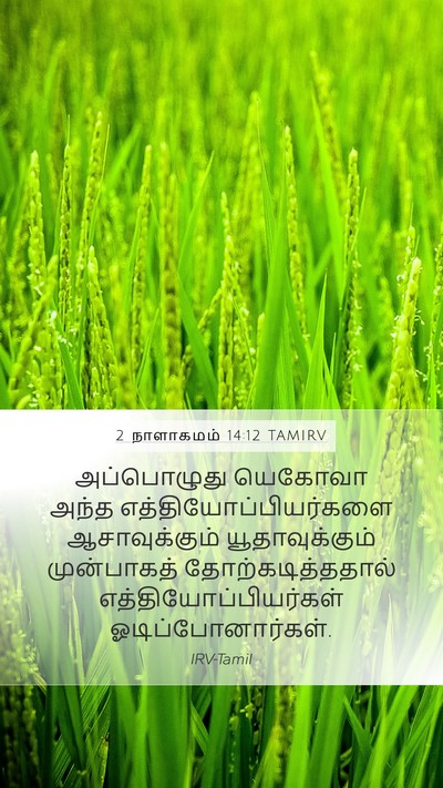 2 நாளாகமம் 14:12 TAMIRV Bible Verse Image