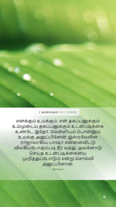 2 நாளாகமம் 16:3 TAMIRV Bible Verse Image