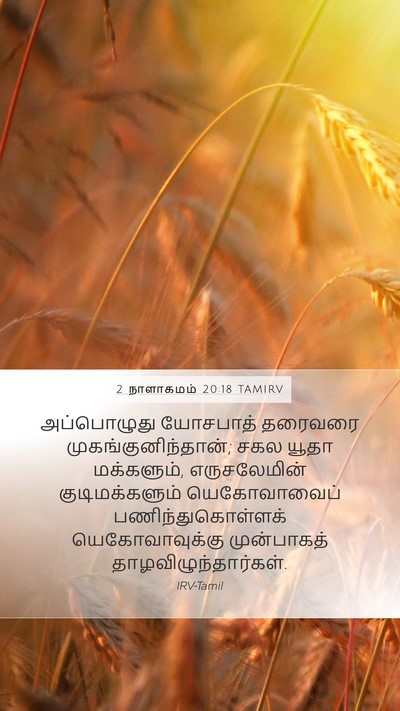 2 நாளாகமம் 20:18 TAMIRV Bible Verse Image