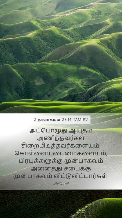 2 நாளாகமம் 28:14 TAMIRV Bible Verse Image