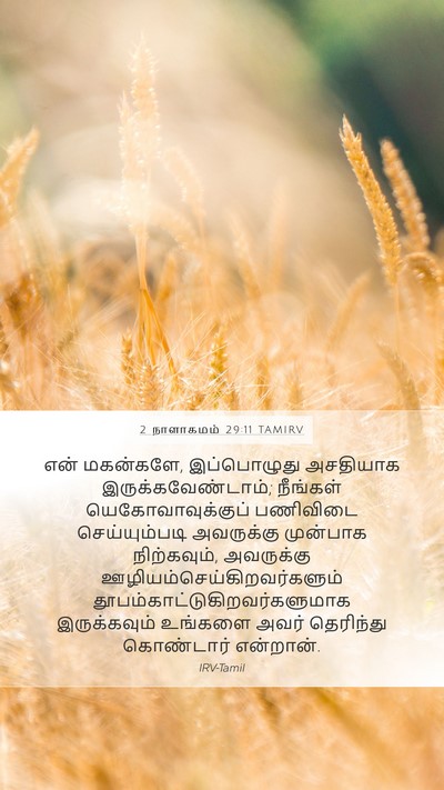 2 நாளாகமம் 29:11 TAMIRV Bible Verse Image