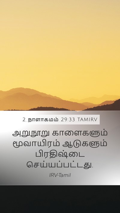 2 நாளாகமம் 29:33 TAMIRV Mobile Phone Wallpaper - அறுநூறு காளைகளும் - Mobile Bible Verse Wallpaper
