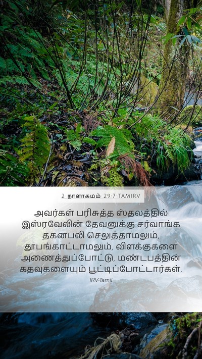 2 நாளாகமம் 29:7 TAMIRV Bible Verse Image