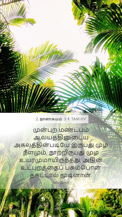 2 நாளாகமம் 3:4 TAMIRV Bible Verse Image