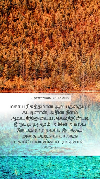 2 நாளாகமம் 3:8 TAMIRV Bible Verse Image