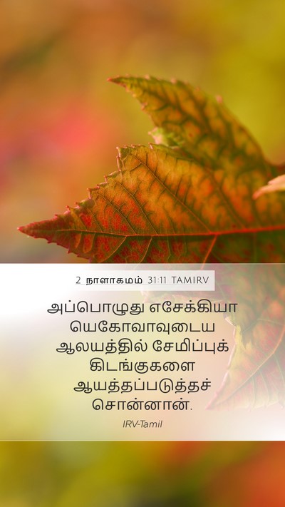 2 நாளாகமம் 31:11 TAMIRV Mobile Phone Wallpaper - அப்பொழுது - Mobile Bible Verse Wallpaper