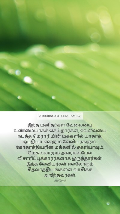 2 நாளாகமம் 34:12 TAMIRV Bible Verse Image