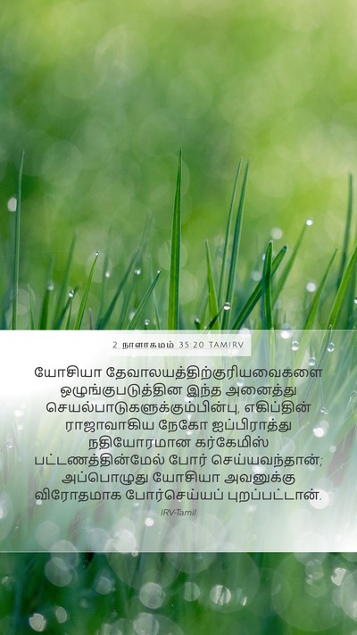 2 நாளாகமம் 35:20 TAMIRV Bible Verse Image