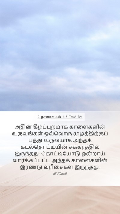 2 நாளாகமம் 4:3 TAMIRV Mobile Phone Wallpaper - அதின் - Mobile Bible Verse Wallpaper