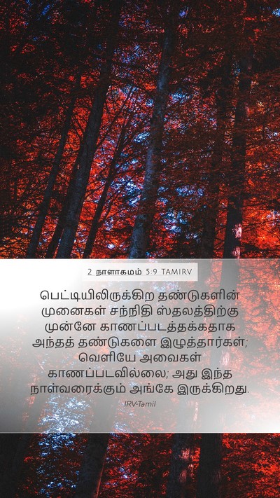 2 நாளாகமம் 5:9 TAMIRV Bible Verse Image
