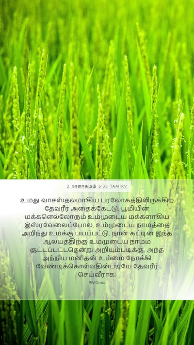 2 நாளாகமம் 6:33 TAMIRV Bible Verse Image