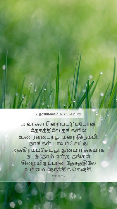 2 நாளாகமம் 6:37 TAMIRV Bible Verse Image