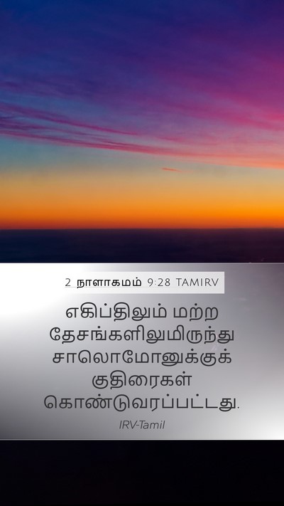 2 நாளாகமம் 9:28 TAMIRV Bible Verse Image
