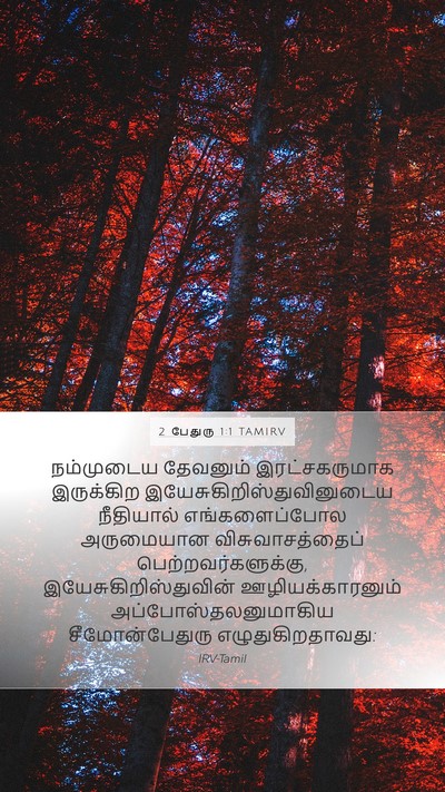 2 பேதுரு 1:1 TAMIRV Bible Verse Image