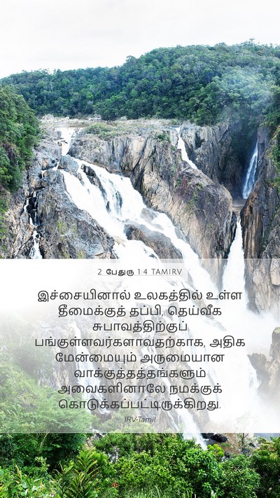 2 பேதுரு 1:4 TAMIRV Bible Verse Image