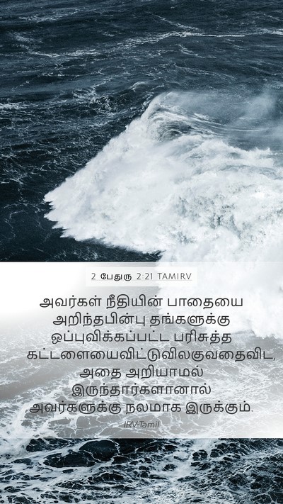 2 பேதுரு 2:21 TAMIRV Bible Verse Image