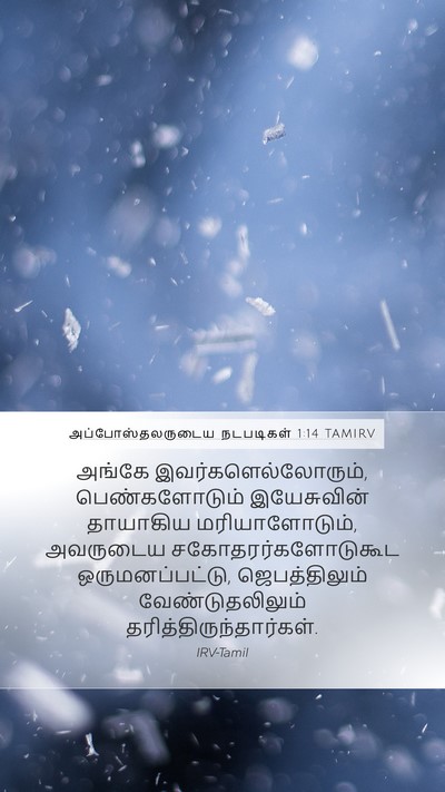 அப்போஸ்தலருடைய நடபடிகள் 1:14 TAMIRV Bible Verse Image