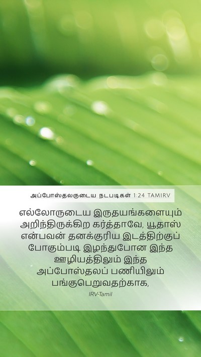 அப்போஸ்தலருடைய நடபடிகள் 1:24 TAMIRV Bible Verse Image