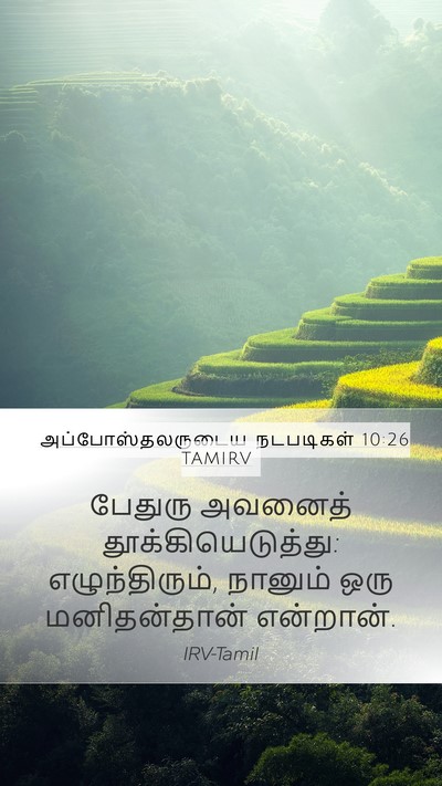 அப்போஸ்தலருடைய நடபடிகள் 10:26 TAMIRV Mobile Phone Wallpaper - பேதுரு அவனைத் - Mobile Bible Verse Wallpaper