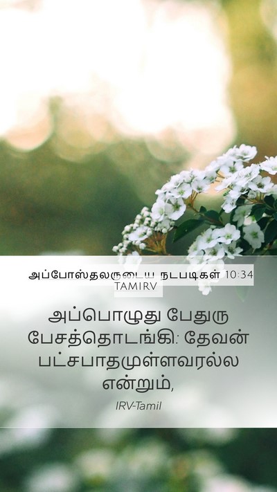 அப்போஸ்தலருடைய நடபடிகள் 10:34 TAMIRV Bible Verse Image
