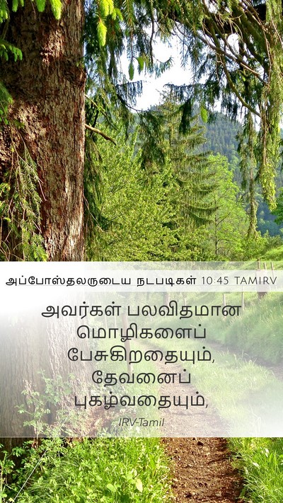 அப்போஸ்தலருடைய நடபடிகள் 10:45 TAMIRV Bible Verse Image