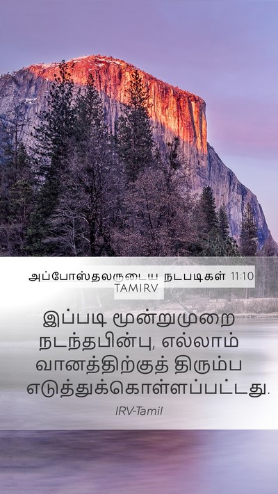 அப்போஸ்தலருடைய நடபடிகள் 11:10 TAMIRV Mobile Phone Wallpaper - இப்படி மூன்றுமுறை - Mobile Bible Verse Wallpaper