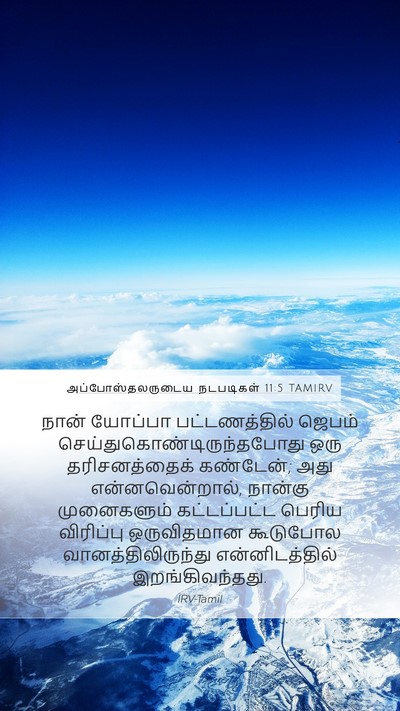 அப்போஸ்தலருடைய நடபடிகள் 11:5 TAMIRV Bible Verse Image