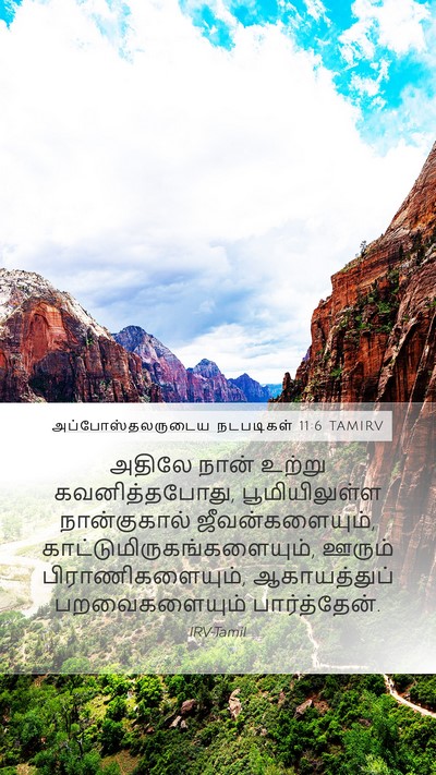 அப்போஸ்தலருடைய நடபடிகள் 11:6 TAMIRV Bible Verse Image