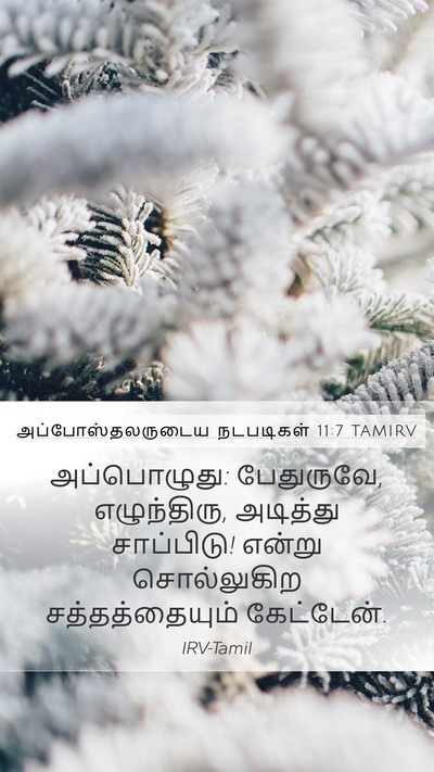 அப்போஸ்தலருடைய நடபடிகள் 11:7 TAMIRV Bible Verse Image