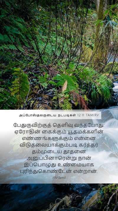 அப்போஸ்தலருடைய நடபடிகள் 12:11 TAMIRV Bible Verse Image