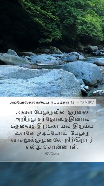 அப்போஸ்தலருடைய நடபடிகள் 12:14 TAMIRV Mobile Phone Wallpaper - அவள் பேதுருவின் - Mobile Bible Verse Wallpaper