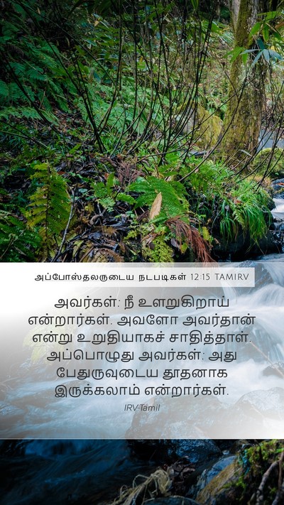 அப்போஸ்தலருடைய நடபடிகள் 12:15 TAMIRV Bible Verse Image