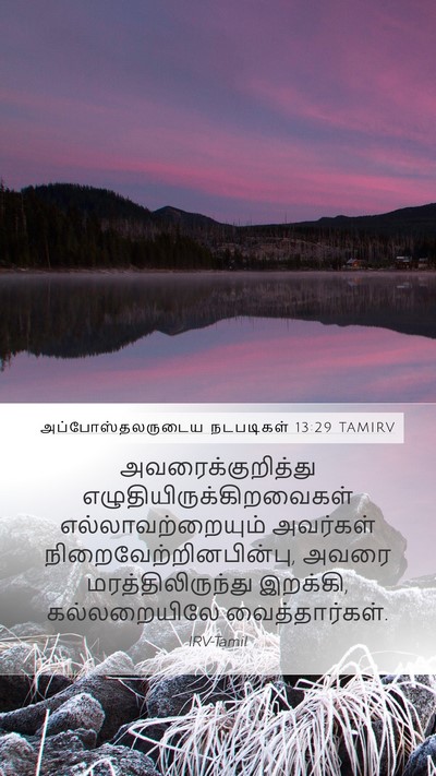 அப்போஸ்தலருடைய நடபடிகள் 13:29 TAMIRV Bible Verse Image