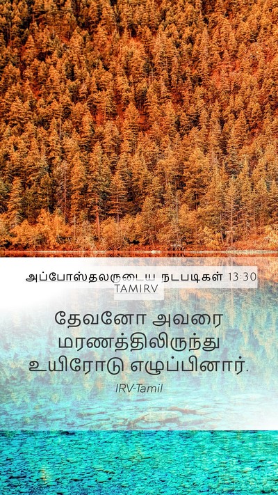அப்போஸ்தலருடைய நடபடிகள் 13:30 TAMIRV Bible Verse Image