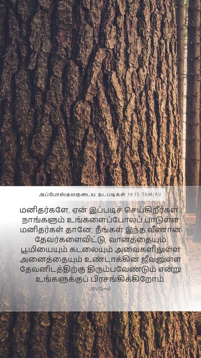 அப்போஸ்தலருடைய நடபடிகள் 14:15 TAMIRV Bible Verse Image