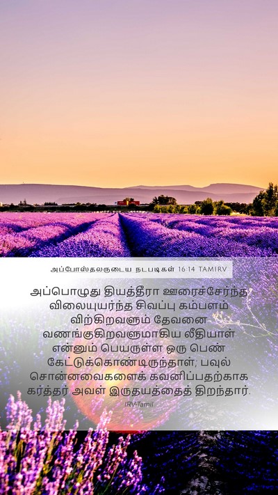 அப்போஸ்தலருடைய நடபடிகள் 16:14 TAMIRV Bible Verse Image